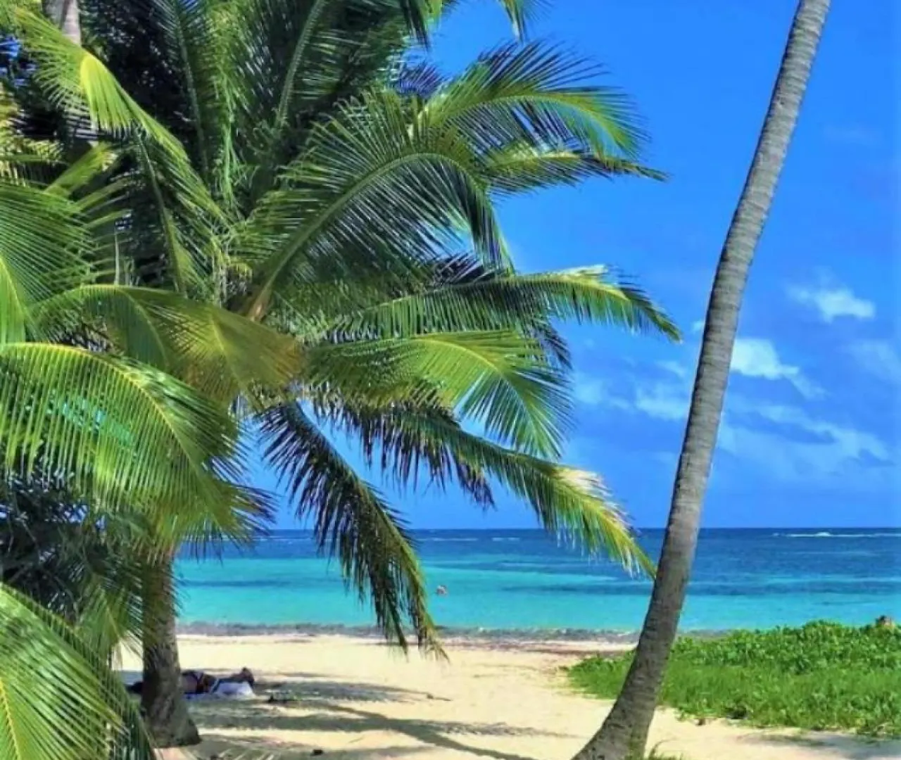 Ideal Vacances Le Gosier  Le Gosier (Grande-Terre)